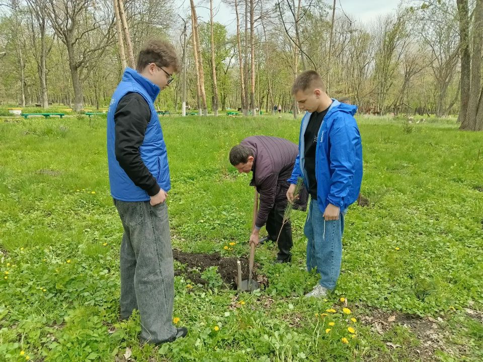 В городском округе город Ровеньки прошла высадка деревьев в рамках акции «Сад памяти» В городском округе город Ровеньки прошла высадка деревьев в рамках акции «Сад памяти»