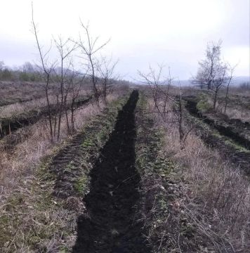 ����� 200 �������� ������ ���� �������� � ����������