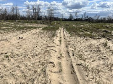 ����� 200 ������ ������ ����: � ���������� ����������� �������� ������� ������ �������