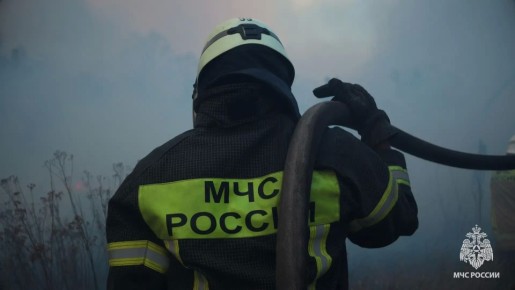 �� ��������� ����� � ��� ������������� 11 �������