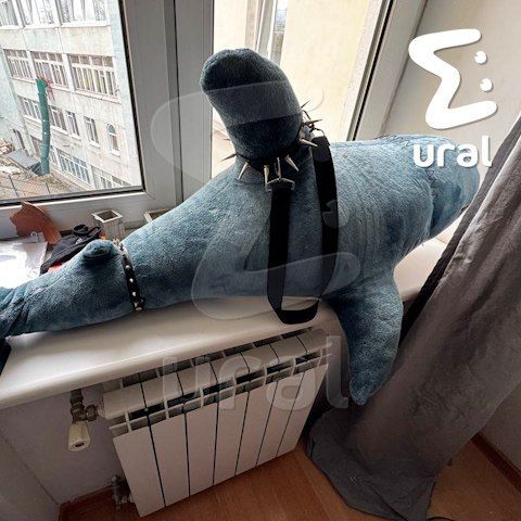 Обыски прошли дома у главы свердловского отделения "Яблока" и одного из членов партии Обыски прошли дома у главы свердловского отделения "Яблока" и одного из членов партии