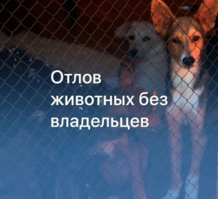 ���������� �� ������ �������� ��� ����������