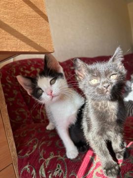 30 ������ �� ���������� ��������� �������� ���������� �������������� ���������� ����������