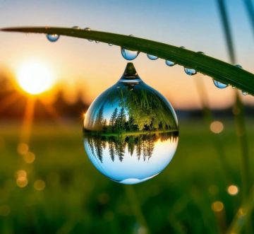 ������� ���������� � ������ ��������