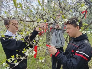 �������� ������������� ������� ������� � �������������� ����� ���� ������