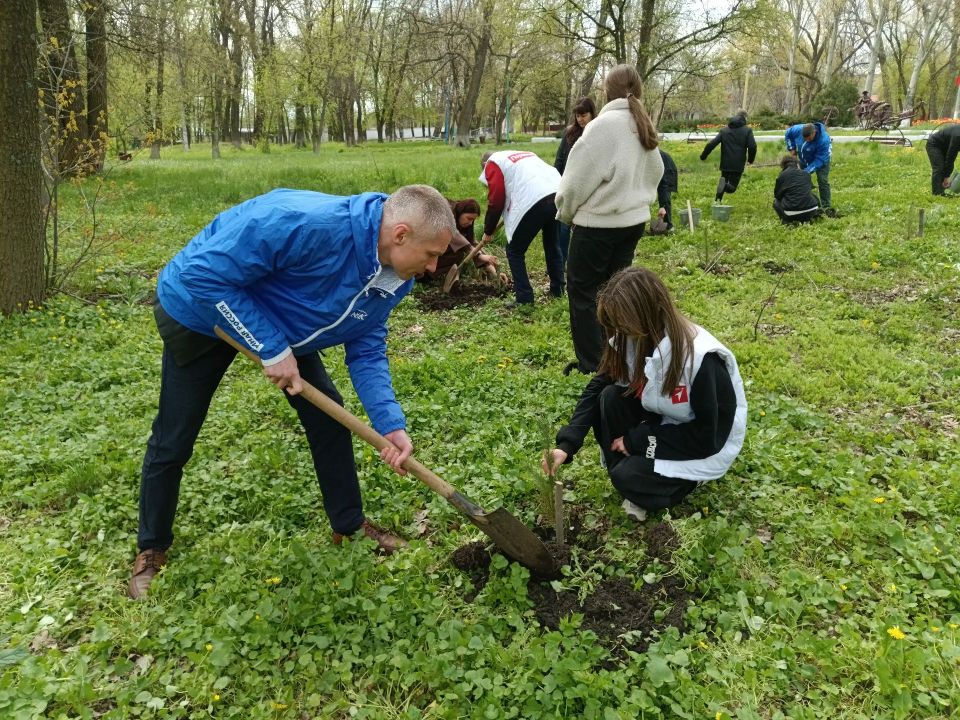 В городском округе город Ровеньки прошла высадка деревьев в рамках акции «Сад памяти» В городском округе город Ровеньки прошла высадка деревьев в рамках акции «Сад памяти»