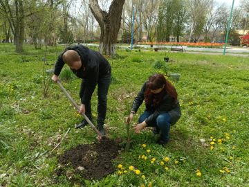 � ��������� ������ ����� �������� ������ ������� �������� � ������ ����� ���� ������