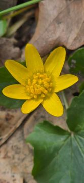 ��������� ������������ 30 ������ � ��� �� ���� 3 �������� ����� �� 25 �������� ����� ����, ������� ������� ��������� ��������������� �����, �����, � ��������� ������� ������ ����� �� 17 �/�