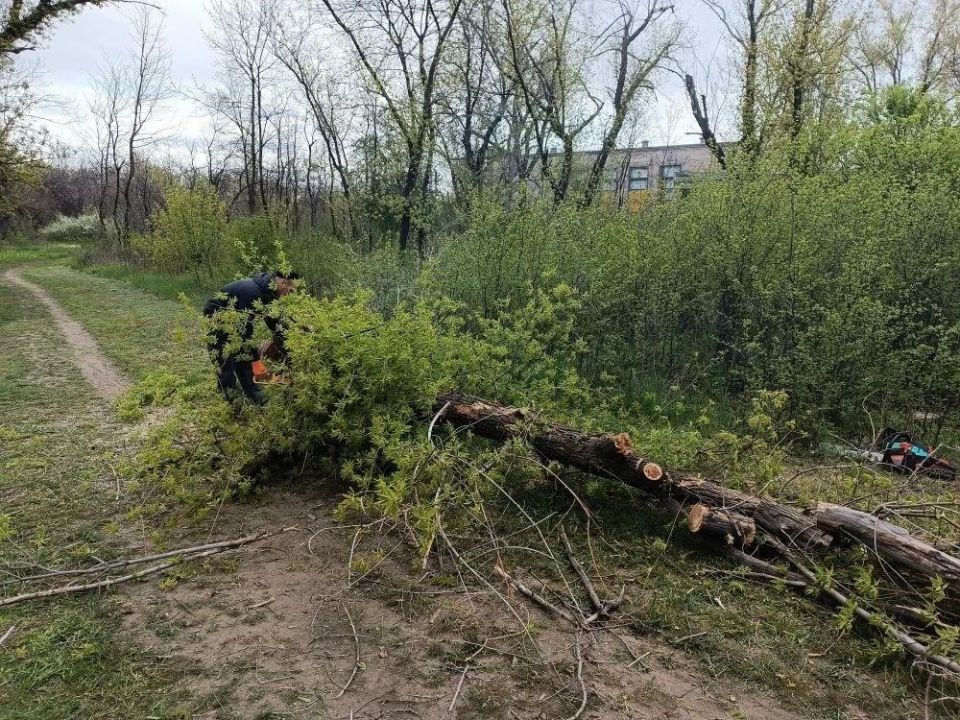 В парке Юрьевки бригада из Удмуртии спиливает аварийные деревья В парке Юрьевки бригада из Удмуртии спиливает аварийные деревья
