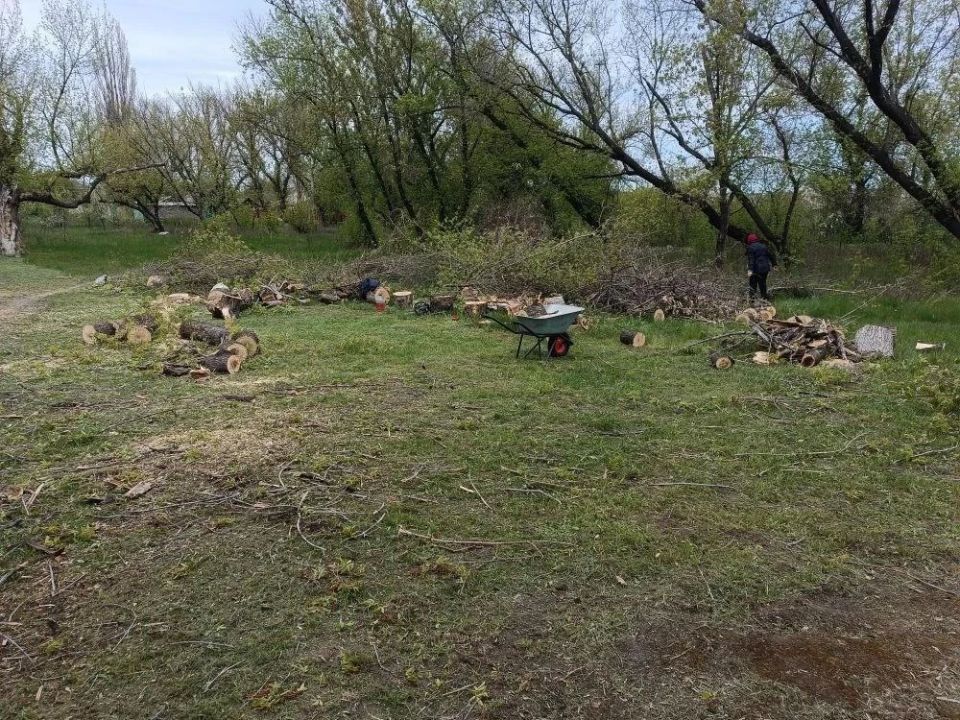 В парке Юрьевки бригада из Удмуртии спиливает аварийные деревья В парке Юрьевки бригада из Удмуртии спиливает аварийные деревья