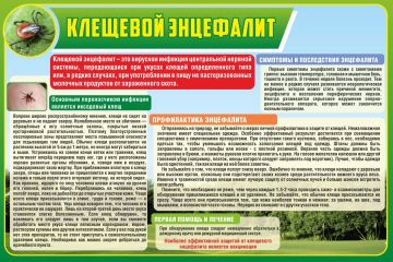 �������� �������� ��������� � ���� ��� ������������