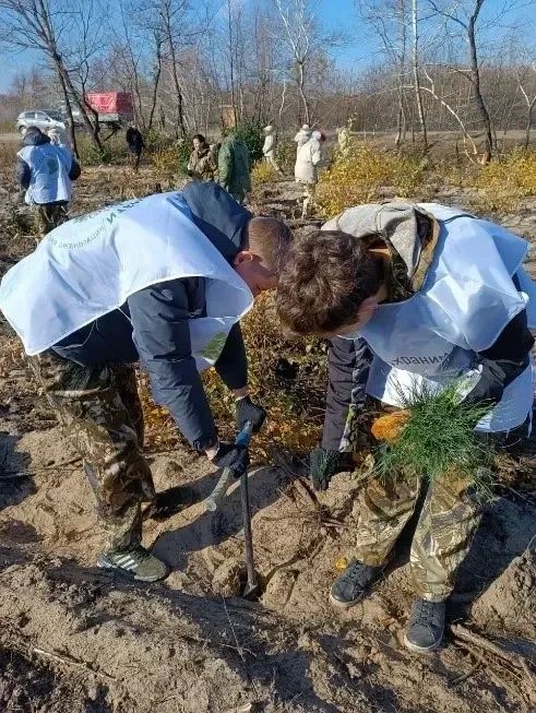 Школьное лестничество ЛНР стало победителем во Всероссийском конкурсе имени Г.Ф.Морозова Школьное лестничество ЛНР стало победителем во Всероссийском конкурсе имени Г.Ф.Морозова