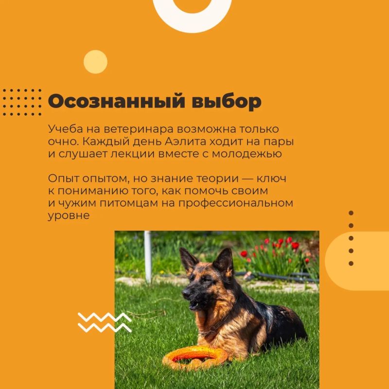 Ее сердце лечит без слов. Аэлита Мальцева — луганчанка, которой не страшны никакие трудности, потому что у неё есть главное: большое доброе сердце и любовь к животным Ее сердце лечит без слов. Аэлита Мальцева — луганчанка, которой не страшны никакие трудности, потому что у неё есть главное: большое доброе сердце и любовь к животным