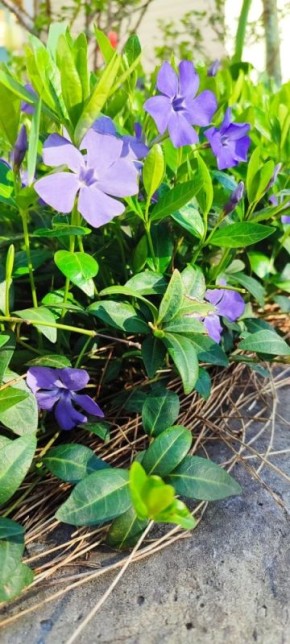 � ������ �����, ������ ����������� �������������� ������!