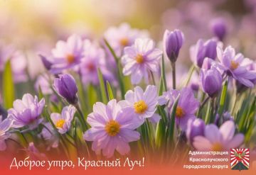 ������ ����, ������������!