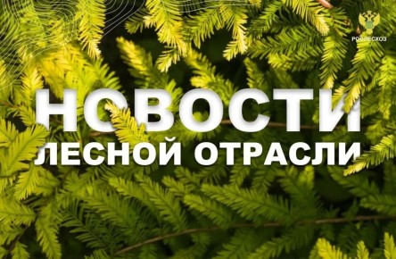 ��� ������: ����� ��������� ��������� � ������ ����� �� 33%