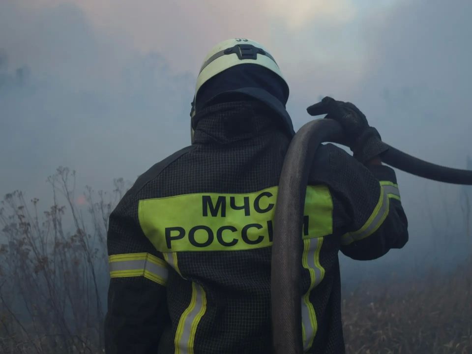 Около тысячи пожаров ликвидировано с начала года в ЛНР Около тысячи пожаров ликвидировано с начала года в ЛНР