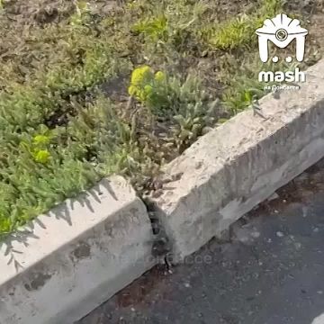 ��������� ��� ����� ��������� ����� � 27