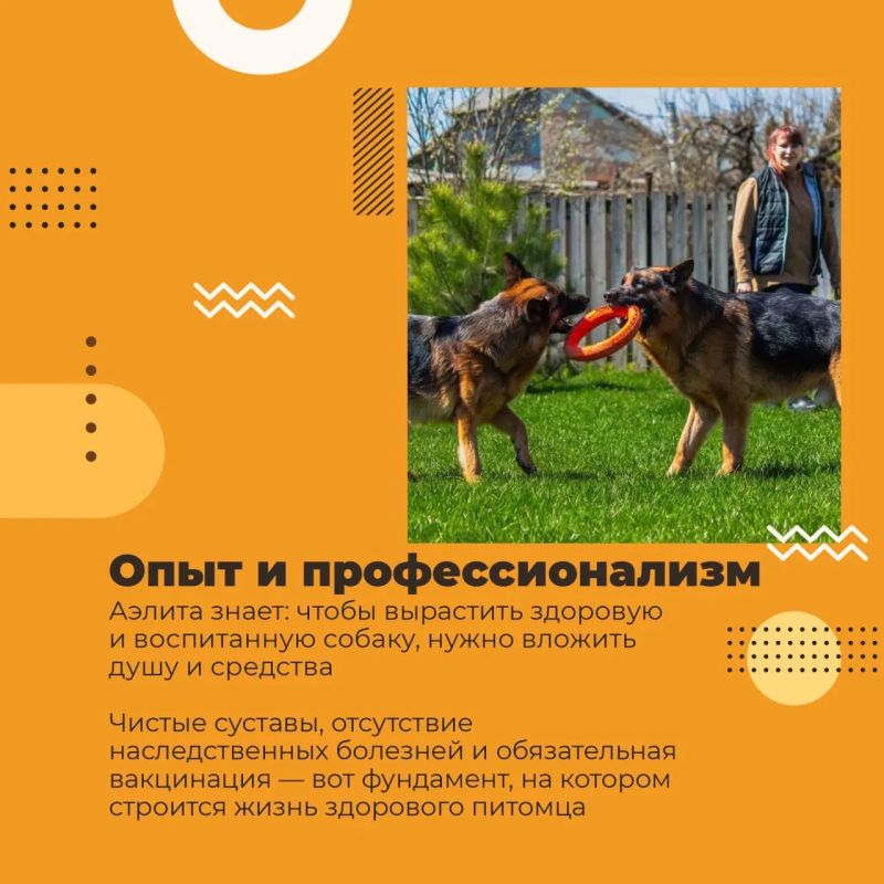 Ее сердце лечит без слов. Аэлита Мальцева — луганчанка, которой не страшны никакие трудности, потому что у неё есть главное: большое доброе сердце и любовь к животным Ее сердце лечит без слов. Аэлита Мальцева — луганчанка, которой не страшны никакие трудности, потому что у неё есть главное: большое доброе сердце и любовь к животным