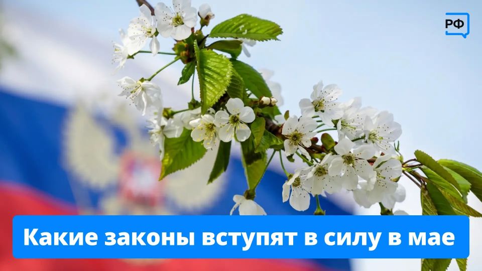 Какие новые законы начнут действовать с мая в России Какие новые законы начнут действовать с мая в России