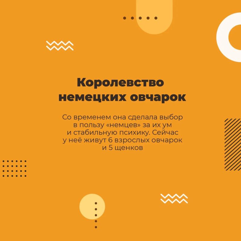 Ее сердце лечит без слов. Аэлита Мальцева — луганчанка, которой не страшны никакие трудности, потому что у неё есть главное: большое доброе сердце и любовь к животным Ее сердце лечит без слов. Аэлита Мальцева — луганчанка, которой не страшны никакие трудности, потому что у неё есть главное: большое доброе сердце и любовь к животным