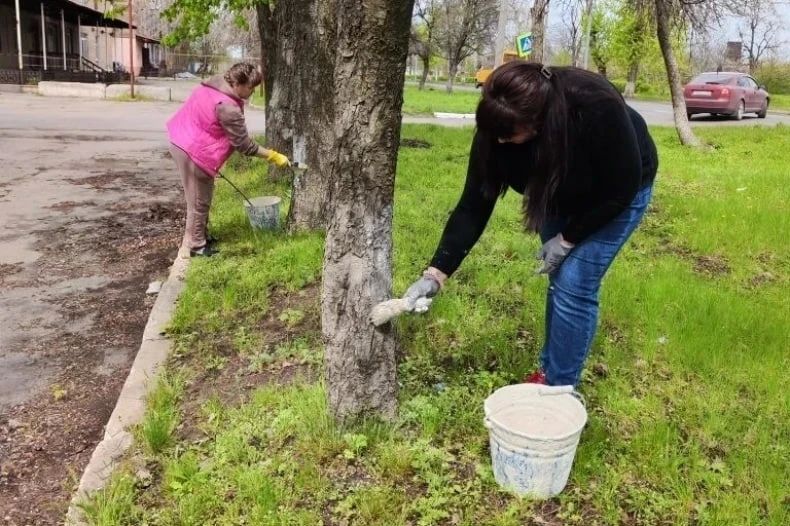 В пгт Калининский прошёл Всероссийский субботник «Мы за чистоту» В пгт Калининский прошёл Всероссийский субботник «Мы за чистоту»