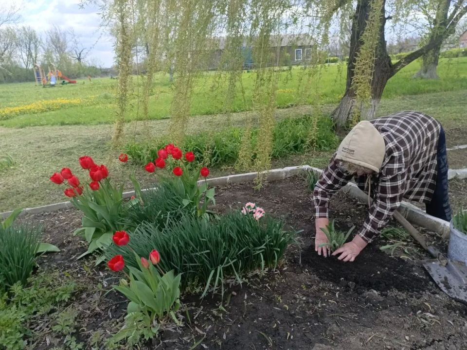 В парке Весёлой Тарасовки высадили саженцы березы В парке Весёлой Тарасовки высадили саженцы березы