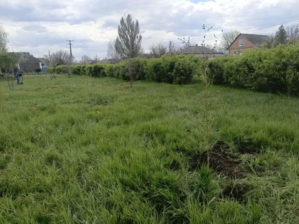 В парке Весёлой Тарасовки высадили саженцы березы В парке Весёлой Тарасовки высадили саженцы березы