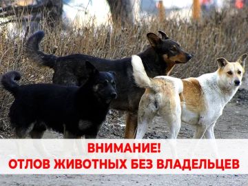 ����� �������� ��� ���������� ��������� �� ���������� �������������� ����������� ���������� ������������� �����