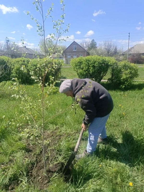 В парке Весёлой Тарасовки высадили саженцы березы В парке Весёлой Тарасовки высадили саженцы березы