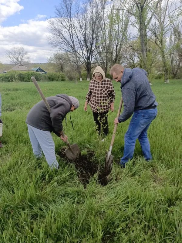 В парке Весёлой Тарасовки высадили саженцы березы В парке Весёлой Тарасовки высадили саженцы березы