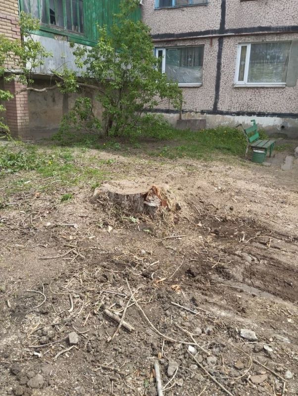 Андрей Рубанцов: В Ровеньках ведутся работы по плановой обрезке и удалению аварийных деревьев Андрей Рубанцов: В Ровеньках ведутся работы по плановой обрезке и удалению аварийных деревьев