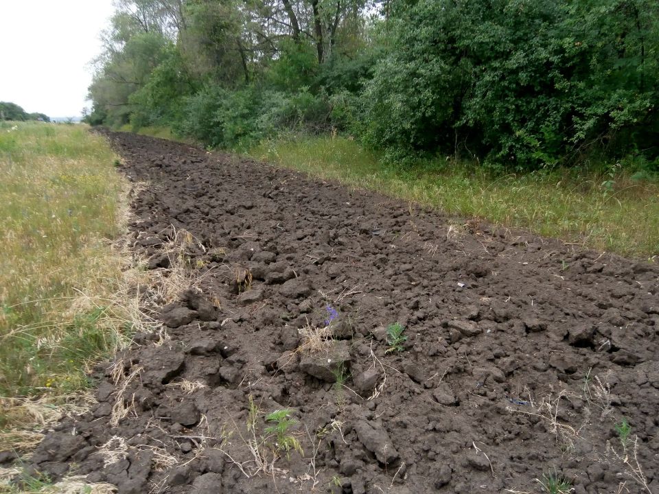 В период пожароопасного сезона лесоохотничьи учреждения Республики проводят противопожарные мероприятия, направленные на предупреждение и предотвращение лесных пожаров В период пожароопасного сезона лесоохотничьи учреждения Республики проводят противопожарные мероприятия, направленные на предупреждение и предотвращение лесных пожаров
