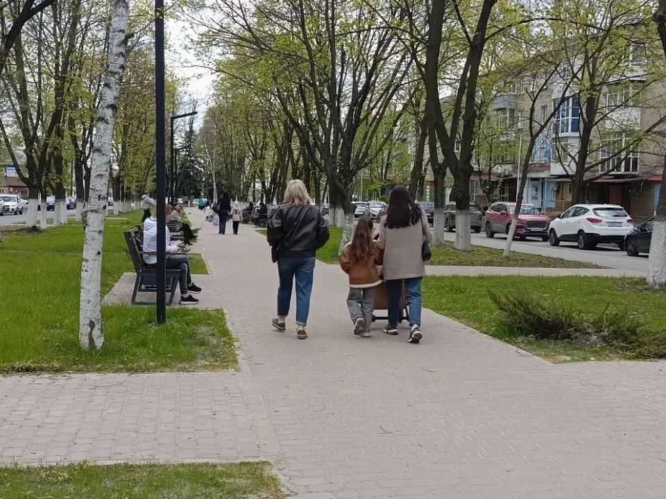 Благоустройство аллеи по улице Ленина Благоустройство аллеи по улице Ленина