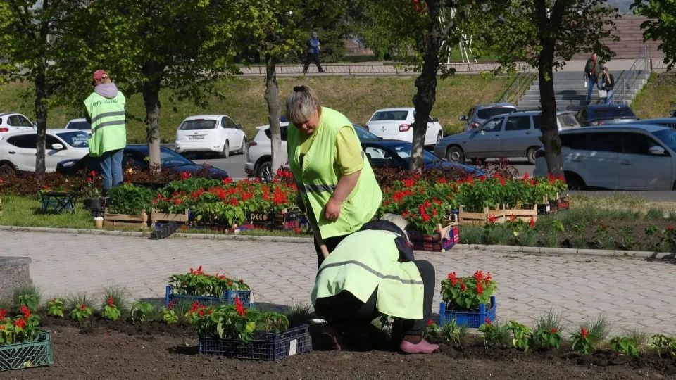 Сотрудники Луганского комбината зеленого хозяйства и благоустройства начали высадку летних декоративных растений Сотрудники Луганского комбината зеленого хозяйства и благоустройства начали высадку летних декоративных растений