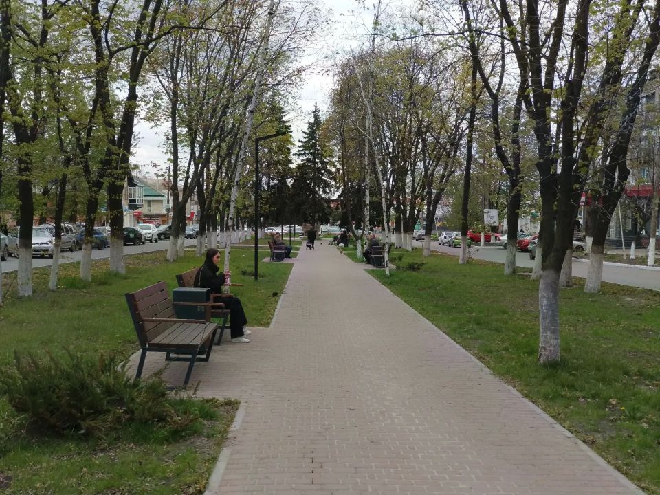 Благоустройство аллеи по улице Ленина Благоустройство аллеи по улице Ленина