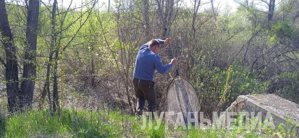 В Беловодском районе спасли бобра, застрявшего в дамбе В Беловодском районе спасли бобра, застрявшего в дамбе