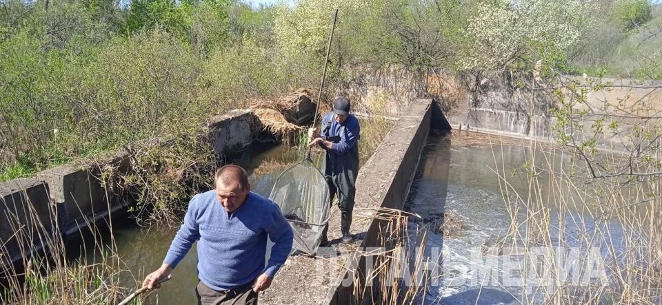 В Беловодском районе спасли бобра, застрявшего в дамбе В Беловодском районе спасли бобра, застрявшего в дамбе