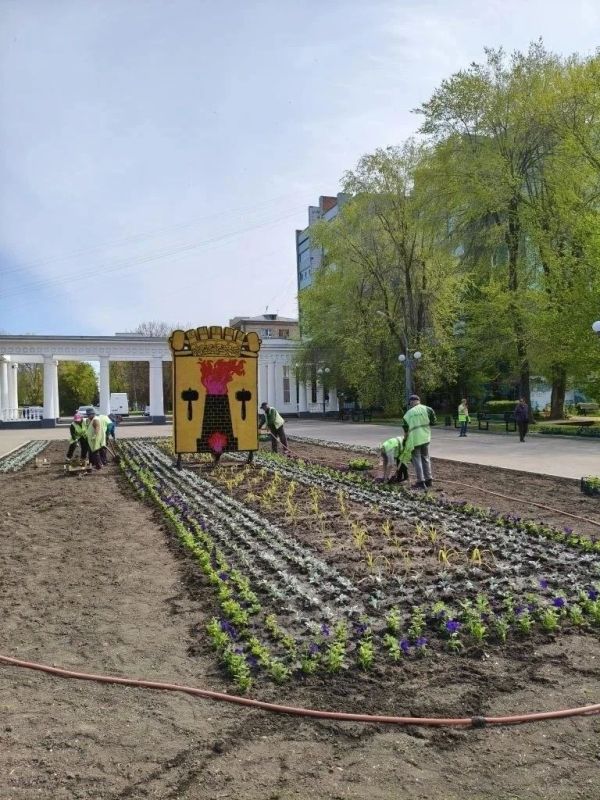 В Луганске началась высадка летних декоративных растений В Луганске началась высадка летних декоративных растений