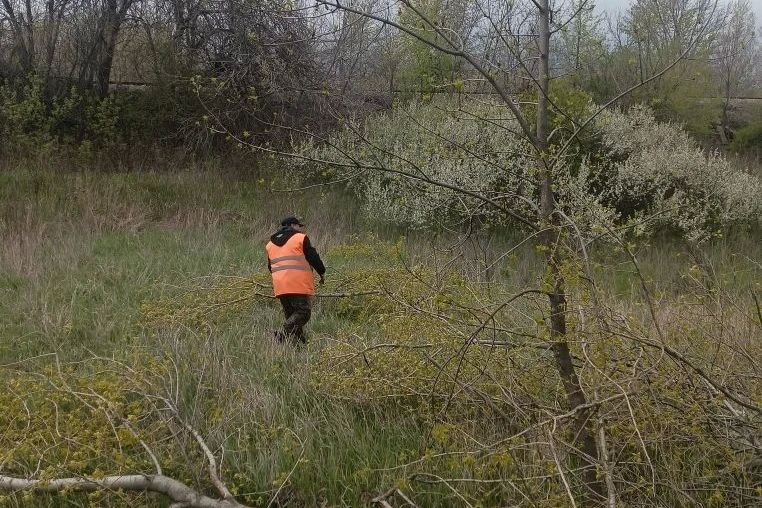 В Свердловском муниципальном округе стартовал сезон побелки бордюров и наведения санитарного порядка В Свердловском муниципальном округе стартовал сезон побелки бордюров и наведения санитарного порядка
