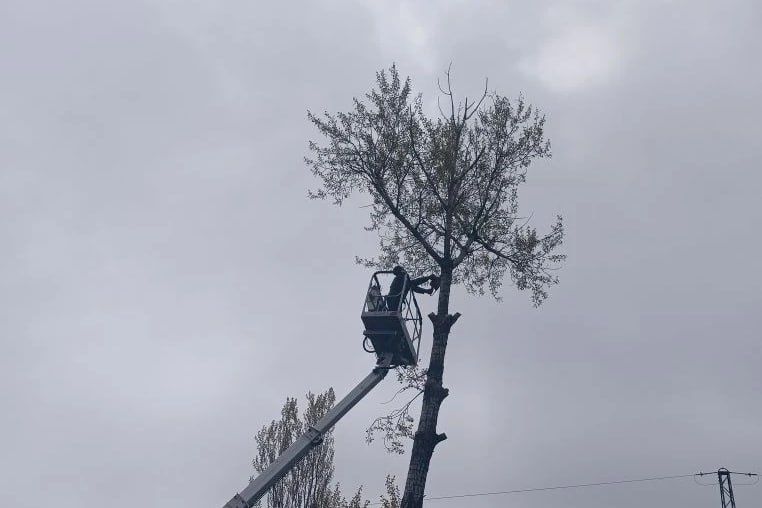 В Свердловском муниципальном округе стартовал сезон побелки бордюров и наведения санитарного порядка В Свердловском муниципальном округе стартовал сезон побелки бордюров и наведения санитарного порядка