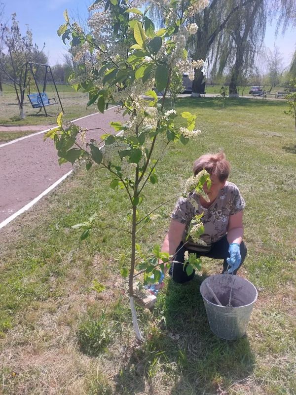 В Нещеретово благоустроили парк возле памятника воинам-односельчанам по переулку Светлому В Нещеретово благоустроили парк возле памятника воинам-односельчанам по переулку Светлому
