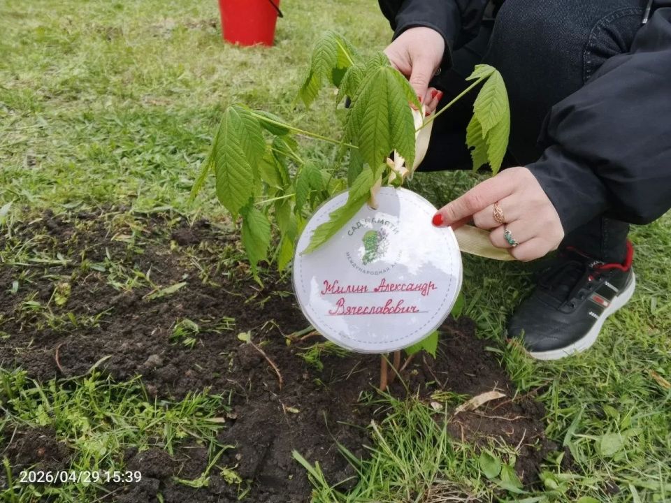 Врип главы Евгений Шаталин, Герой ЛНР, принял участие в международной акции «Сад памяти» Врип главы Евгений Шаталин, Герой ЛНР, принял участие в международной акции «Сад памяти»