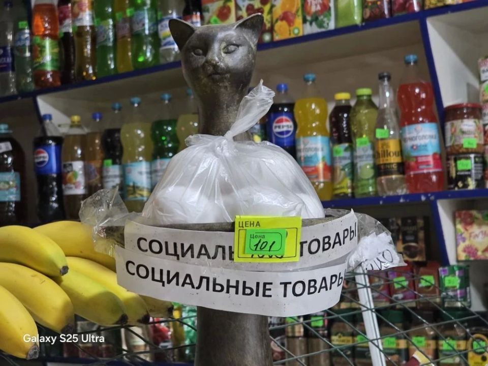 Cпециалистами отдела развития малого и среднего предпринимательства, туризма и защиты прав потребителей управления экономического развития Администрации городского округа муниципальное образование городской округ город...