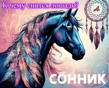 � ���� ������ ������?. ��������� � ��������� ������ �� ��� ������������, ��� ������ �� ������ �������������� ����� �����