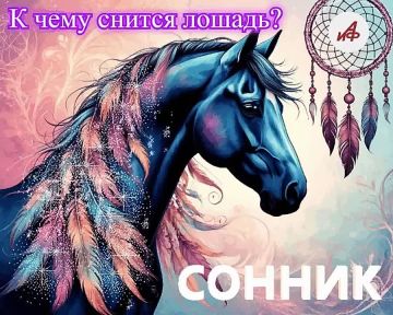 � ���� ������ ������?. ��������� � ��������� ������ �� ��� ������������, ��� ������ �� ������ �������������� ����� �����