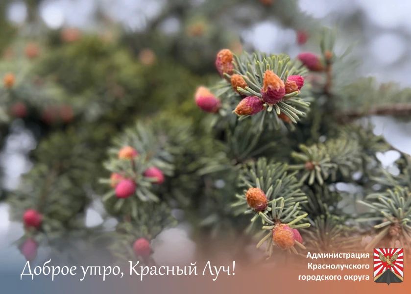Доброе утро, краснолучане!