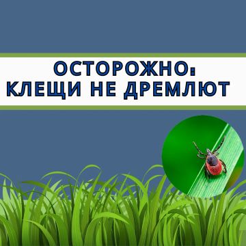 ����� � ����� �������, � ��� ������, ��� ������ � ������ � ��� �������� � ���� ���������, �� ����� ���������� ������ � �����! ��� ����� ��������� � �����, ����������� � ���� �� ��������, �������� ���� ������