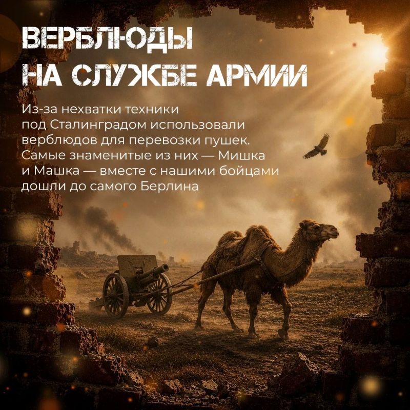 Малоизвестные факты о Великой Отечественной войне Малоизвестные факты о Великой Отечественной войне