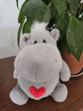 ����� ���: � �������� �������� ���� ���������� � ���� ����������� �������������